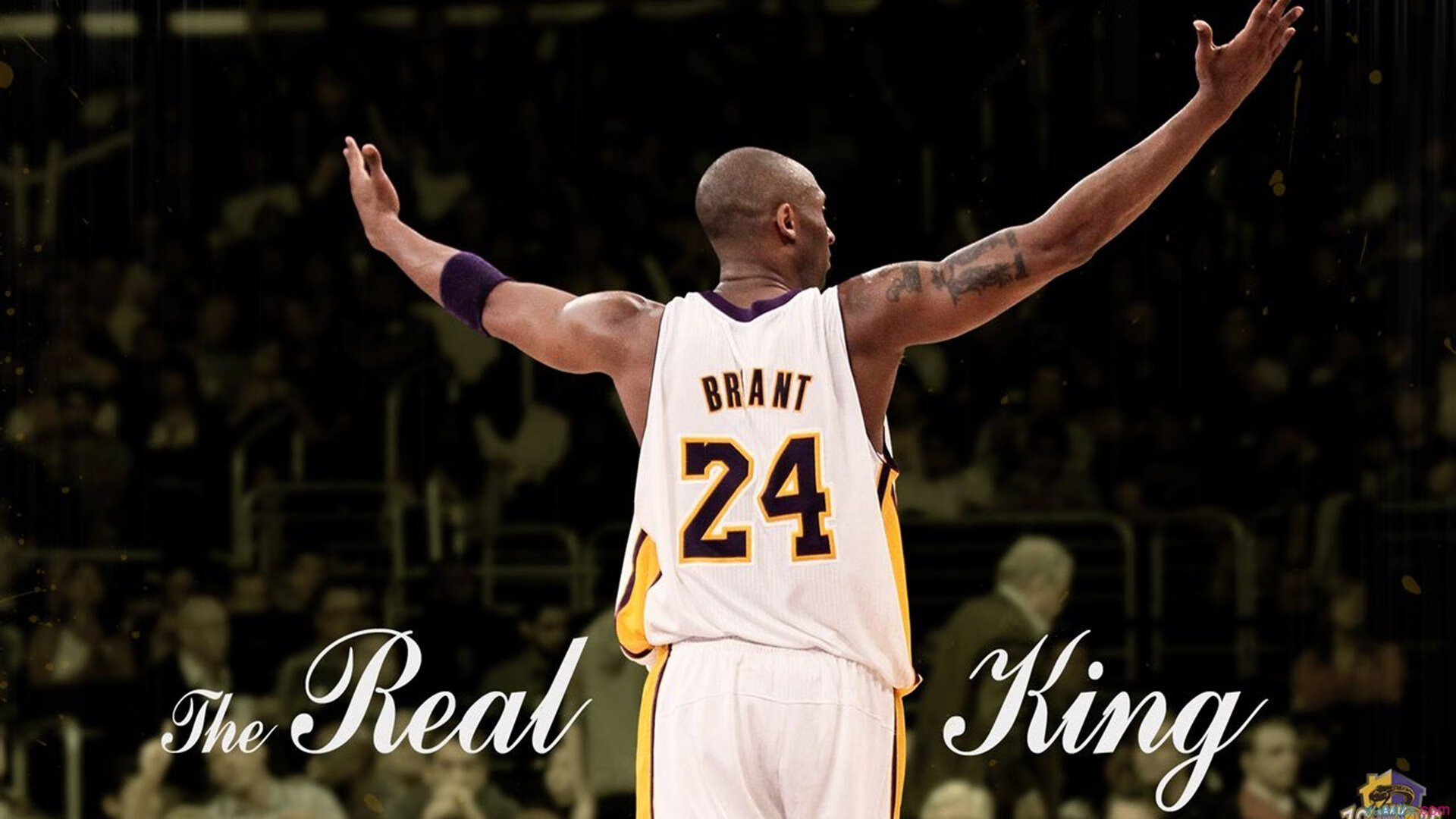 米兰体育app官网-体育场馆安全设施完善，体育场馆的安全问题