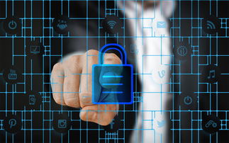 米兰体育报官网-数字化体育资源共享平台建设与管理，数字体育平台是什么